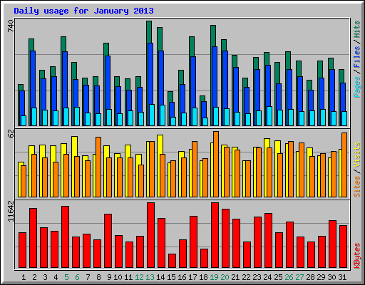 Daily usage for January 2013