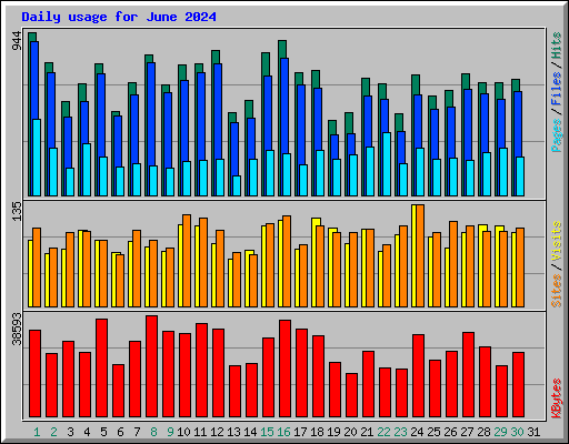 Daily usage for June 2024