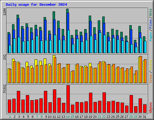 Daily usage for December 2024