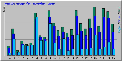 Hourly usage for November 2009