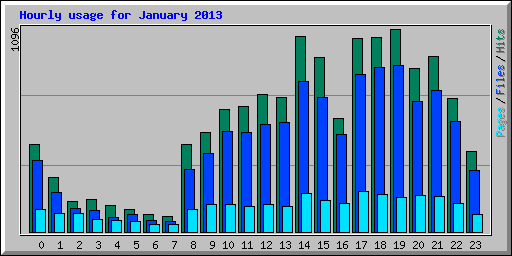 Hourly usage for January 2013