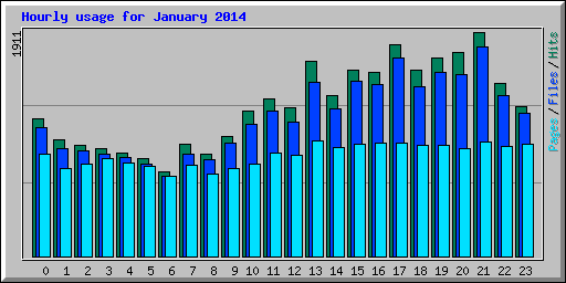 Hourly usage for January 2014