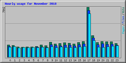 Hourly usage for November 2018