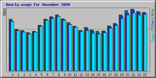 Hourly usage for December 2020