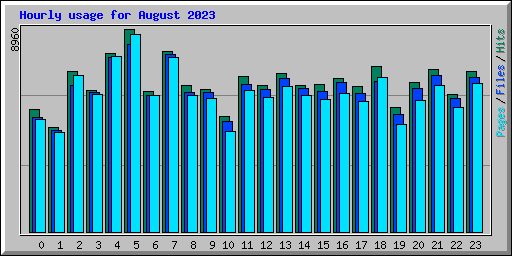 Hourly usage for August 2023