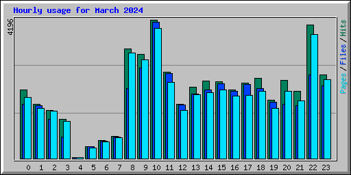 Hourly usage for March 2024