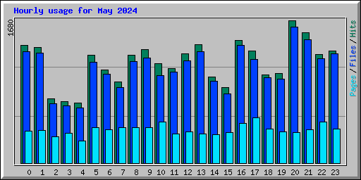 Hourly usage for May 2024