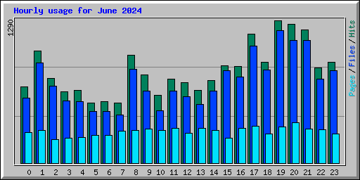 Hourly usage for June 2024