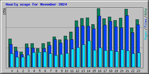 Hourly usage for November 2024