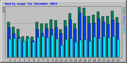 Hourly usage for December 2024